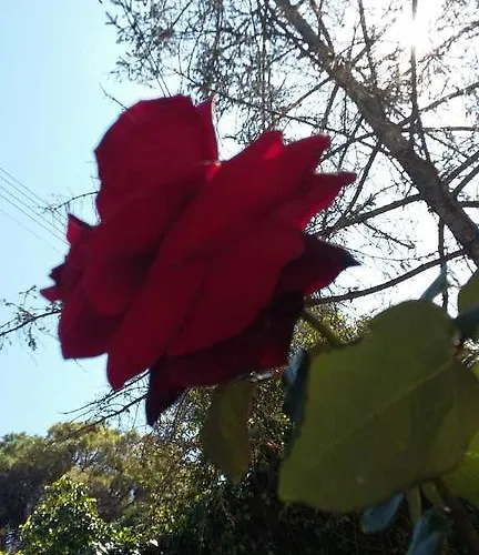 Ionian Paths Appartement *