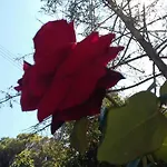 Ionian Paths דירה *