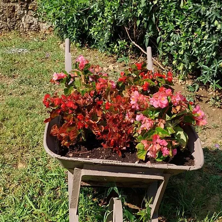 Ionian Paths 아파트