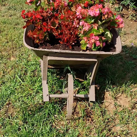 Ionian Paths 公寓 *