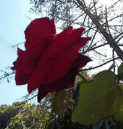 Ionian Paths 아파트 *